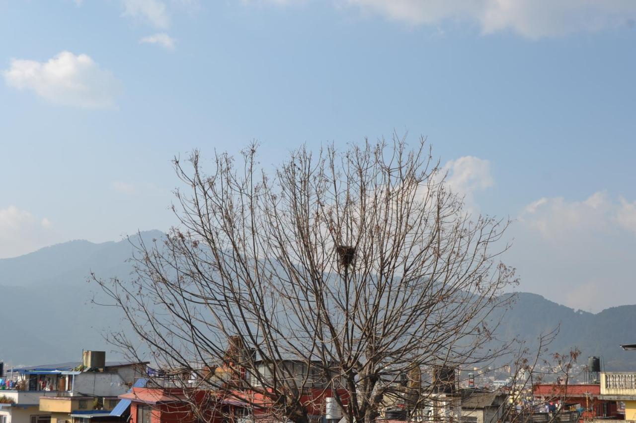 Fireflies Hostel Kathmandu Exteriör bild
